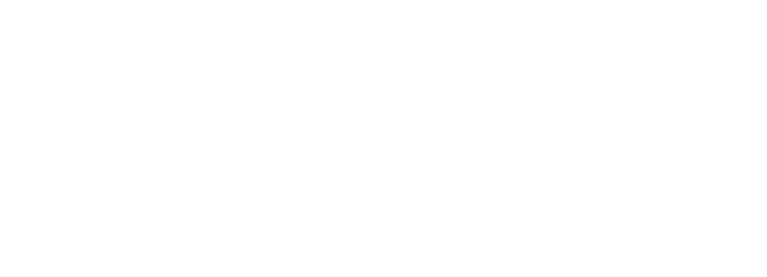 H2INT